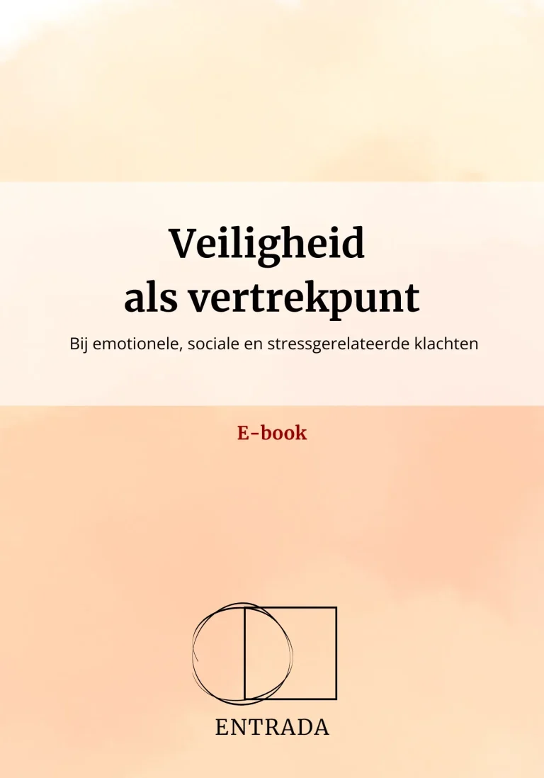 Boekomslag met de titel "Veiligheid als vertrekpunt" met een warme cremékleurige achtergrond.