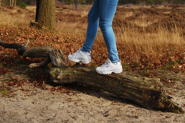 Benen en voeten van persoon die balanceert op een boomstronk in het bos.