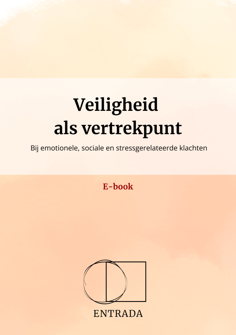 Boekomslag met de titel "Veiligheid als vertrekpunt" met een warme cremékleurige achtergrond.